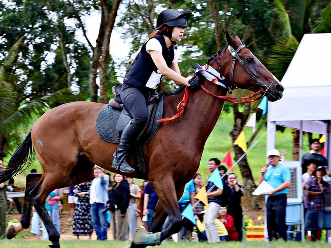 bảng kiểm nền tảng cá cược đua ngựa và tài khoản cược