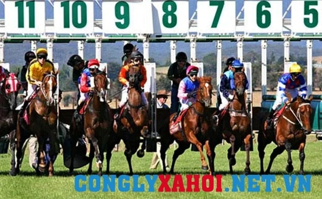 cách đọc tỷ lệ cược và kèo place trong đua ngựa