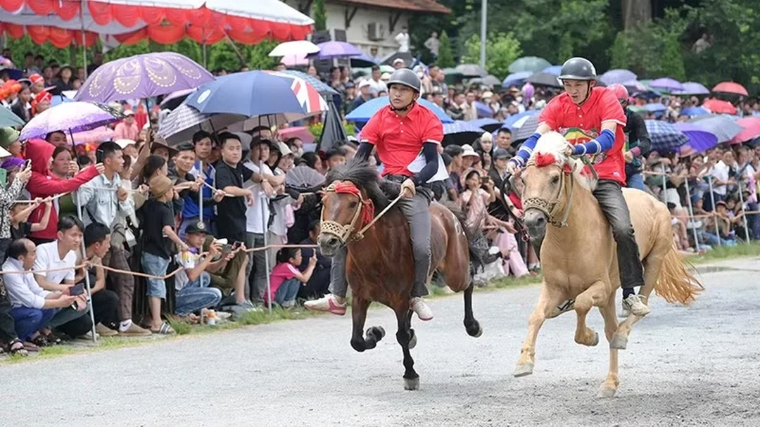 đua ngựa bứt tốc về đích trên đoạn thẳng cuối sân đua ngựa bứt tốc về đích trên đoạn thẳng cuối sân