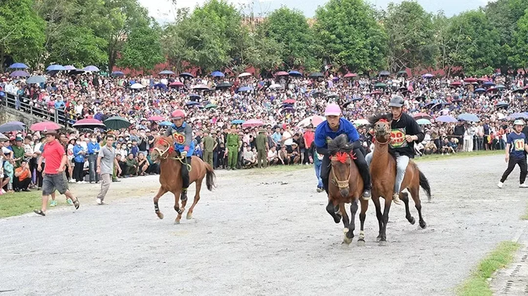 đua ngựa tại trường đua với các nài ngựa xuất phát đồng loạt đua ngựa tại trường đua với các nài ngựa xuất phát đồng loạt