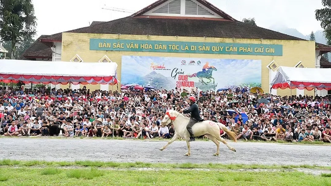 đua ngựa với các pha tăng tốc cuối chặng trên sân thi đấu đua ngựa với các pha tăng tốc cuối chặng trên sân thi đấu