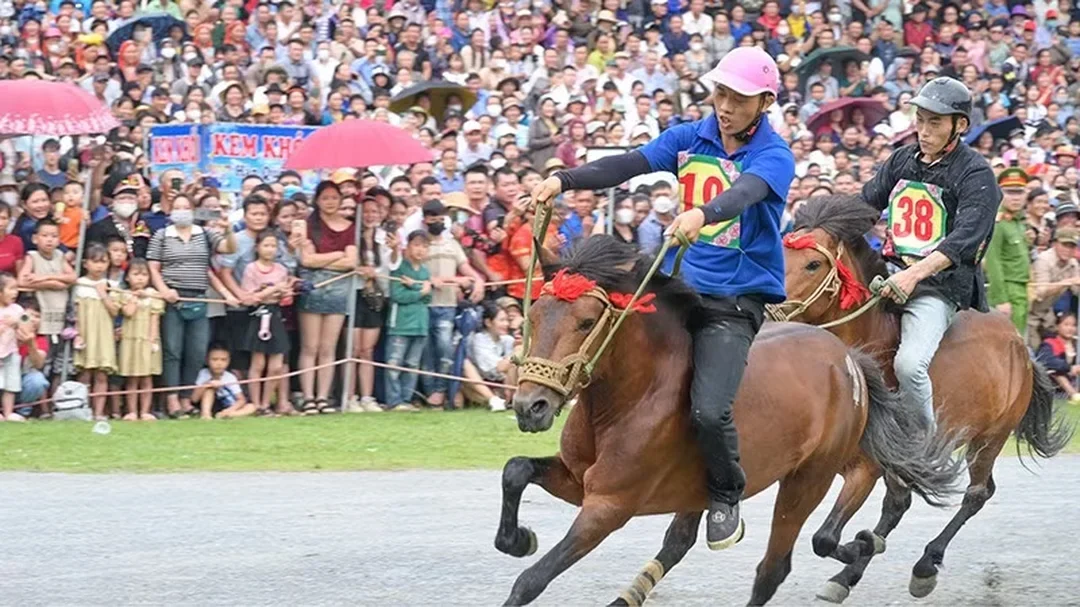 đua ngựa với pha tranh tài ở làn đua và nước rút cuối chặng đua ngựa với pha tranh tài ở làn đua và nước rút cuối chặng