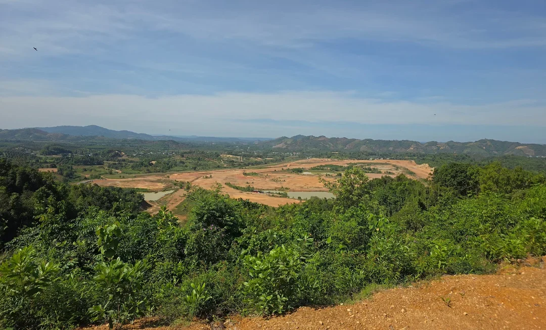 huấn luyện ngựa đua kết hợp chăm sóc và theo dõi ngựa sau vận động