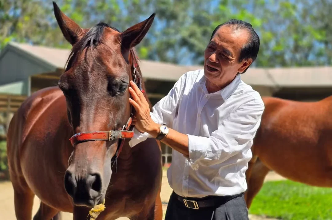 huấn luyện ngựa đua trên trường đua và hạ tầng tập luyện thực tế