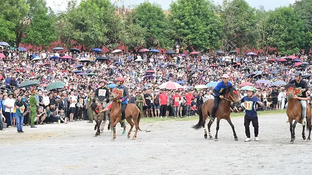 nài ngựa và ngựa đua chuẩn bị trước cuộc thi trên sân nài ngựa và ngựa đua chuẩn bị trước cuộc thi trên sân