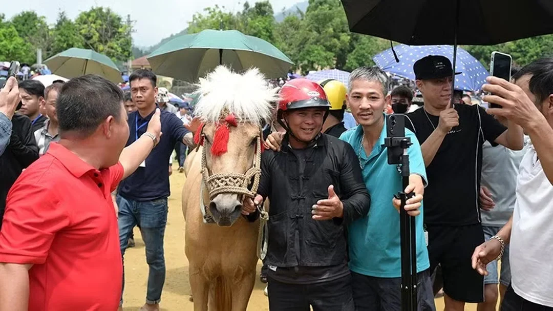 ngựa đua vô địch và khán giả chụp ảnh sau vòng chung kết đua ngựa ngựa đua vô địch và khán giả chụp ảnh sau vòng chung kết đua ngựa