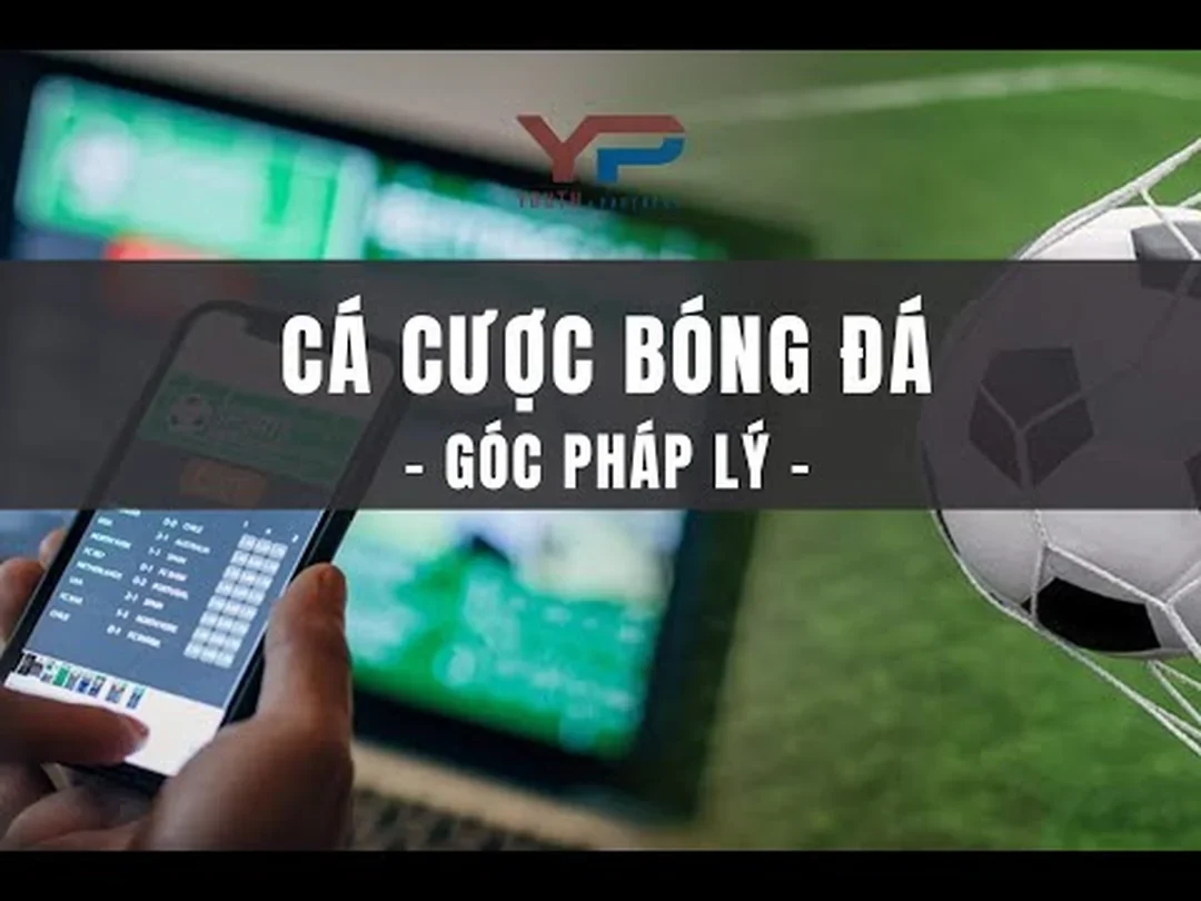 pháp lý link vào nhà cái và tiêu chí nhận diện nhà cái uy tín