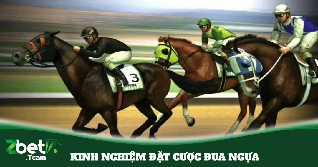 quản lý vốn nạp rút tiền khi tham gia cá cược đua ngựa