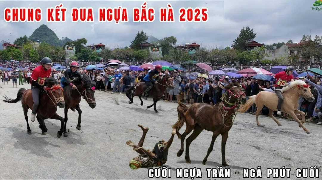 video đua ngựa Bắc Hà 2025